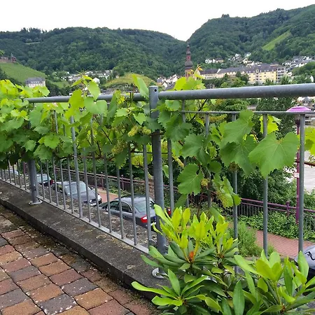 Stadtblick Cochem