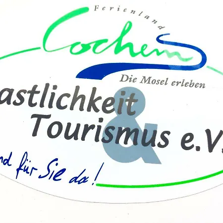 Stadtblick Cochem