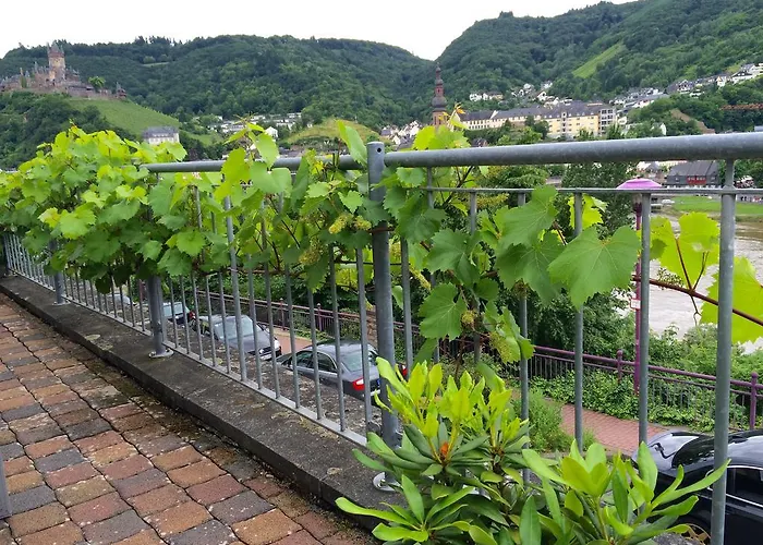 Stadtblick Cochem